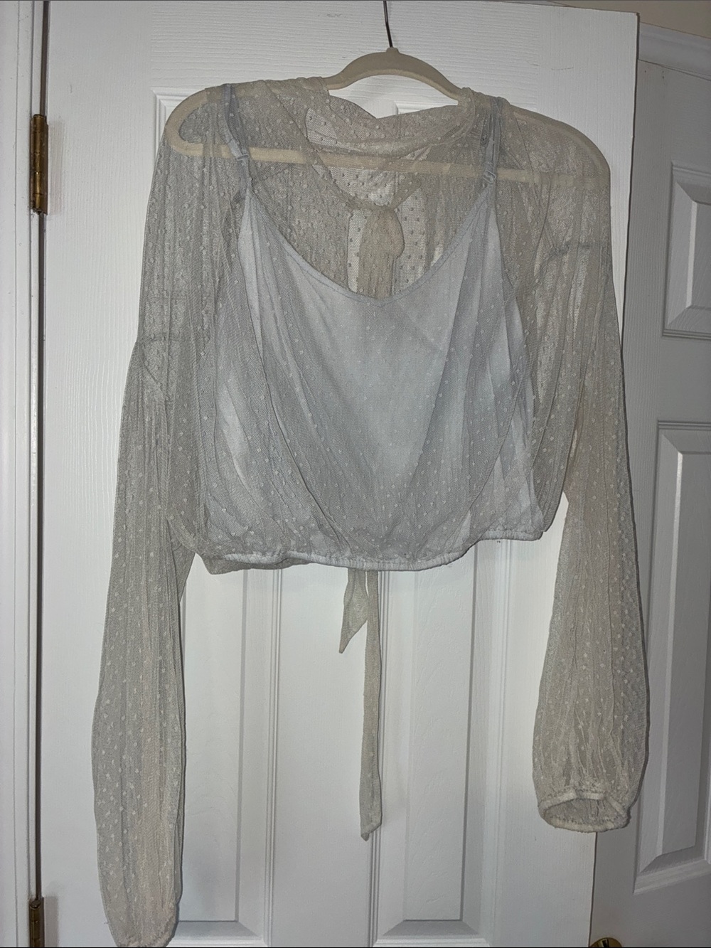 Free People Sheer Swiss Dot Long-Sleeve Cropped Top - Cream & Baby Blue